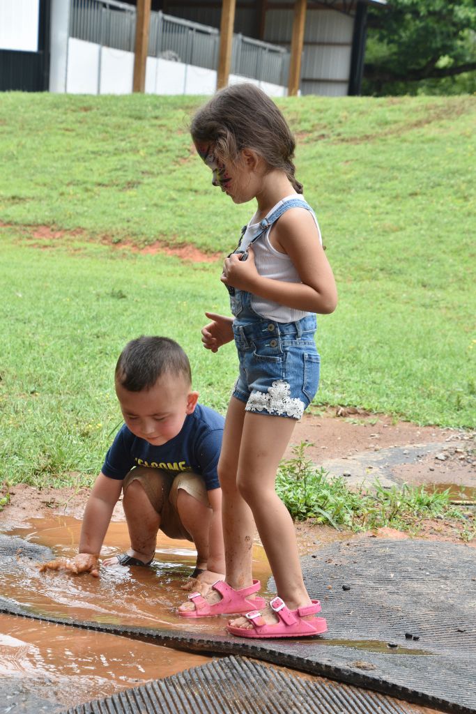 mimosa farm 2019 180 (683x1024).jpg